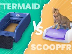 LitterMaid vs ScoopFree featured image