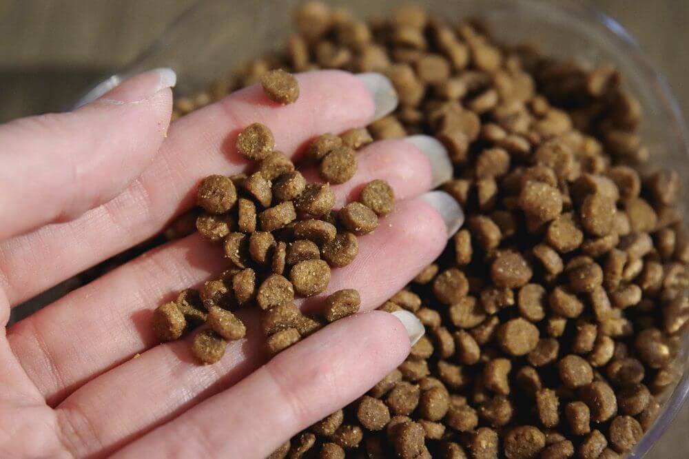 Nulo Freestyle Duck & Lentils Recipe Grain-Free Indoor Dry Cat Food