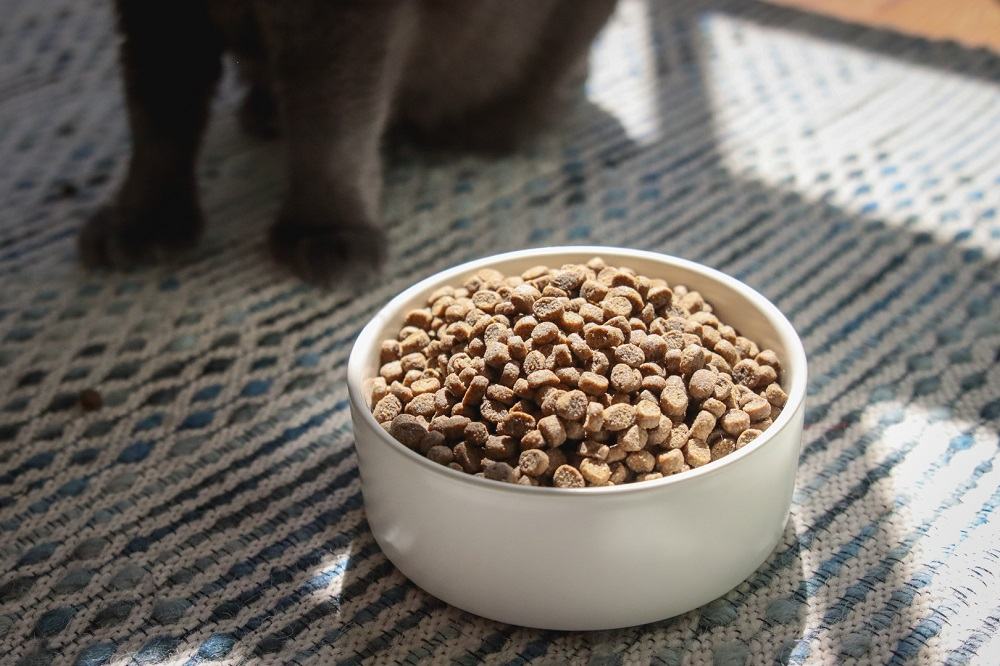 Open Farm Homestead Turkey & Chicken Dry Kibble Cat Food.