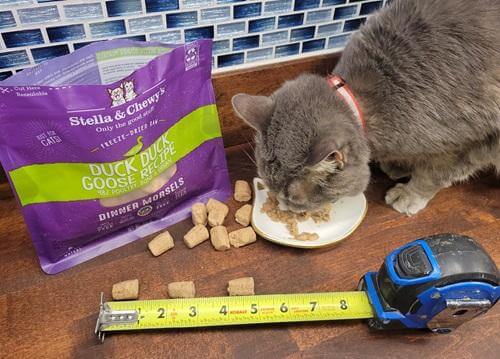 Stella & Chewy’s Duck Duck Goose Dinner Morsels Freeze-Dried Raw Cat Food