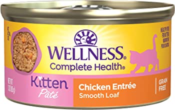 Wellness Complete Health Chicken Entrée Pate Canned Kitten Food