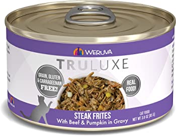 Best Low Protein Cat Food Cats