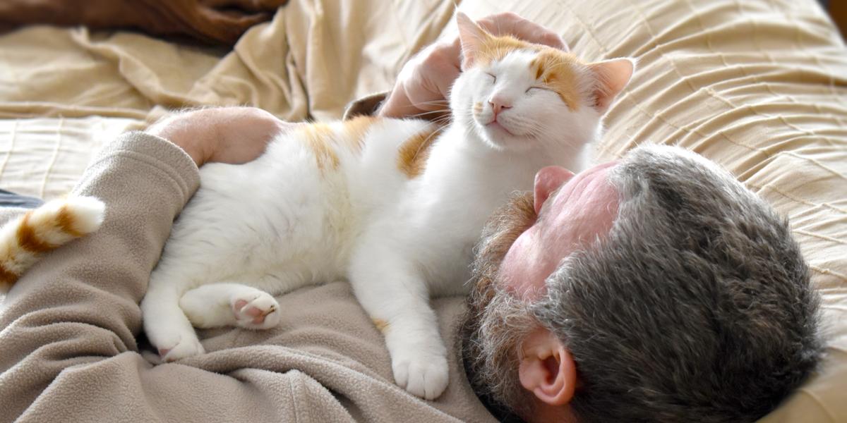 Image of a cat lying on a person's chest, highlighting the affectionate behavior and close bond between cats and their human companions.