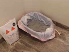 boxiecat extra strength
