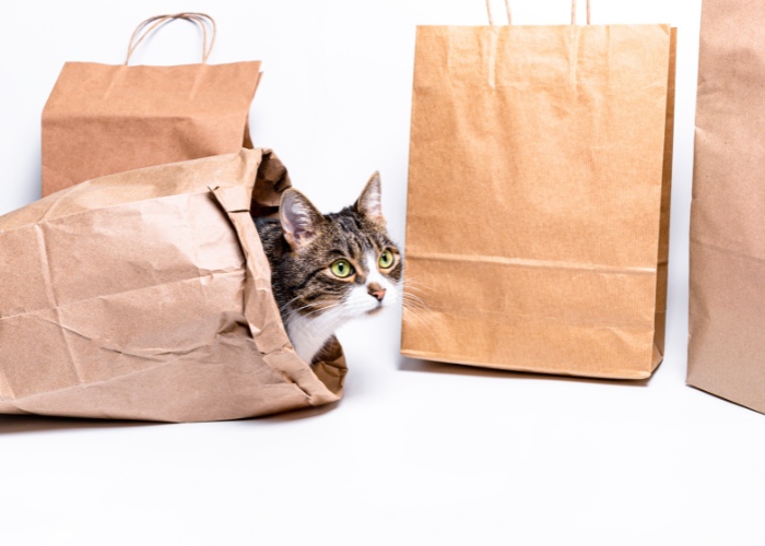 A playful cat peeking out from within a paper bag, demonstrating the innate attraction that cats have to simple yet engaging hiding spots.
