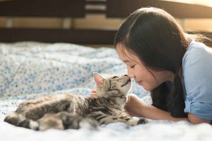 A kid and a cat together, depicting a heartwarming interaction between a young child and a feline companion.