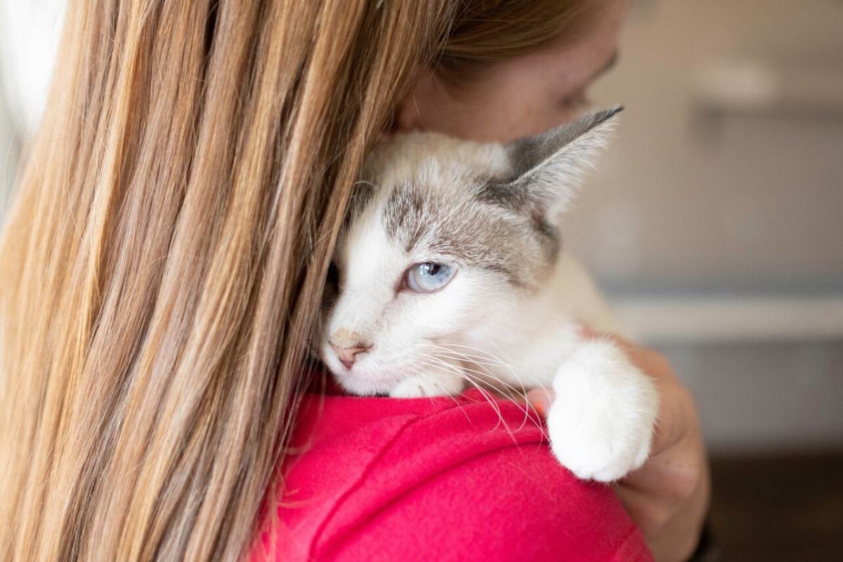 Image of a lady warmly hugging her cat, portraying a heartwarming moment of affection and connection between a pet owner and her feline companion.