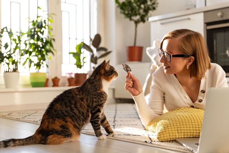 An engaging image of a person joyfully playing with their cat, using a toy to interact and create moments of fun and connection, showcasing the importance of bonding through play.