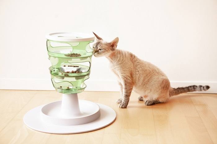 An image depicting a puzzle feeder designed for cats, providing mental stimulation and engagement as the cat interacts with the puzzle to access its food.