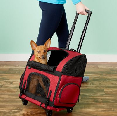 The 12 Best Cat Carriers of 2024, Tested and Reviewed