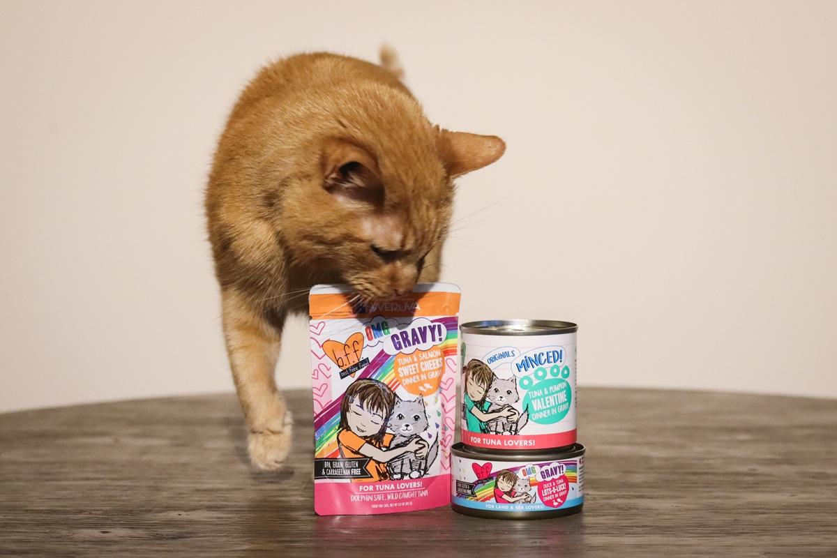 Orange Short Hair Tabby BFF Wet Canned Cat Food