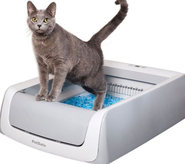 PetSafe ScoopFree Original Automatic Self-Cleaning Cat Litter Box