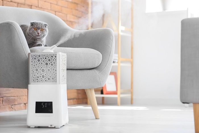 An image discussing the risks of humidifiers to cats, emphasizing potential hazards associated with improper use and their impact on feline health.
