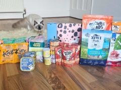 Best Dry Cat Foods in the UK