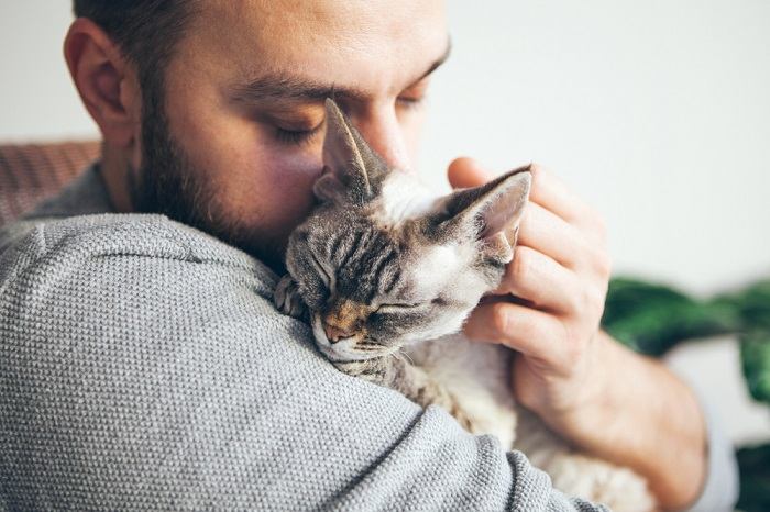 cat sharing an adorable hug, demonstrating camaraderie and affection through a touching display of feline companionship.
