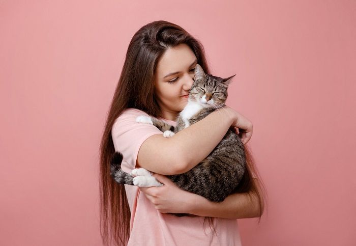 An adorable image capturing a heartwarming moment of a cat receiving a gentle hug from a caring human.