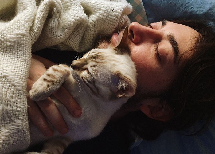 A man and his cat are peacefully sleeping side by side.