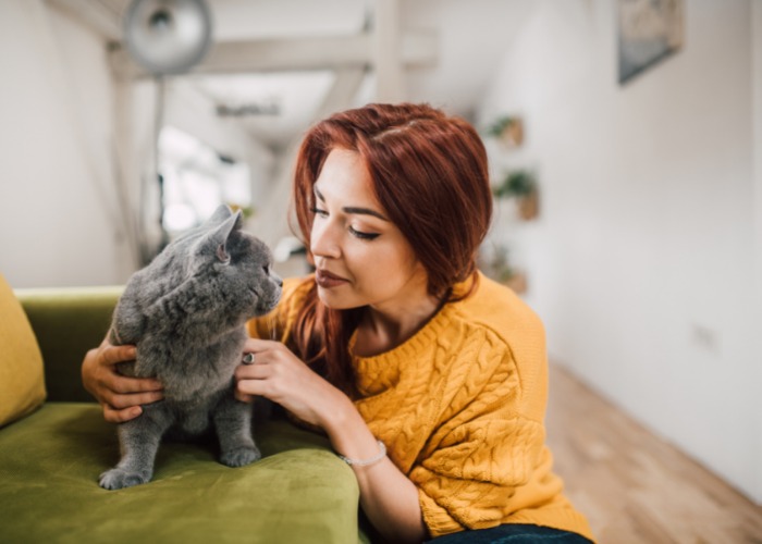 An image capturing a woman gently petting her cat, displaying an affectionate bond between the two and highlighting the soothing and positive effects of human-feline interaction.
