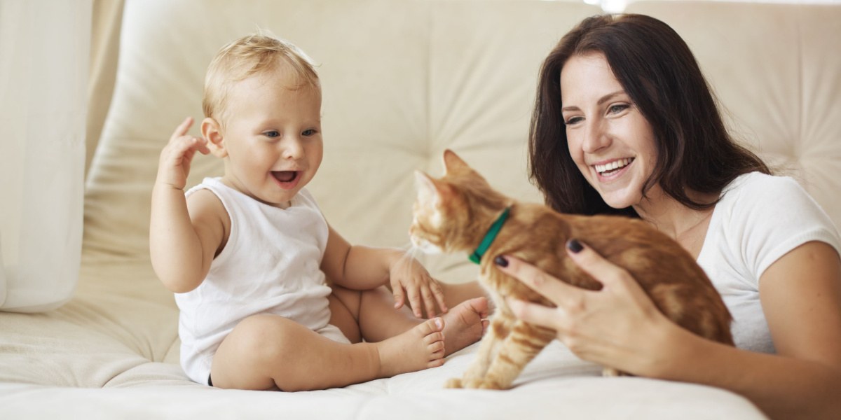 An image featuring a baby alongside a cat, potentially depicting a heartwarming interaction or companionship between the two.