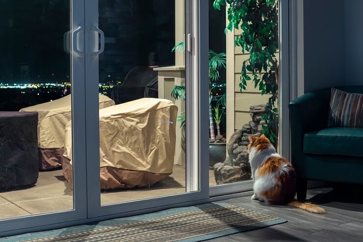 Image depicting a cat sitting by a window during the night, meowing softly under the moonlight.