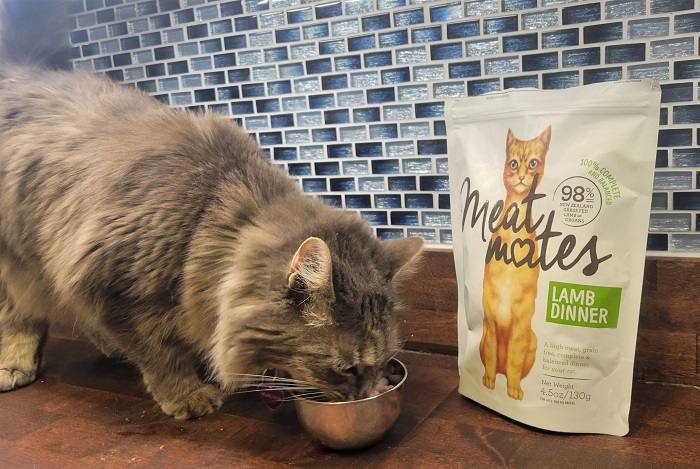 Unbiased Meat Mates Cat Food Review Discontinued In 2024 Cats