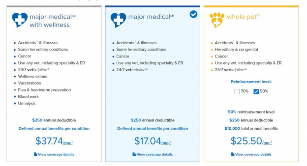 How Much Is Pet Insurance for a Cat? (And Is it Really Worth it ...