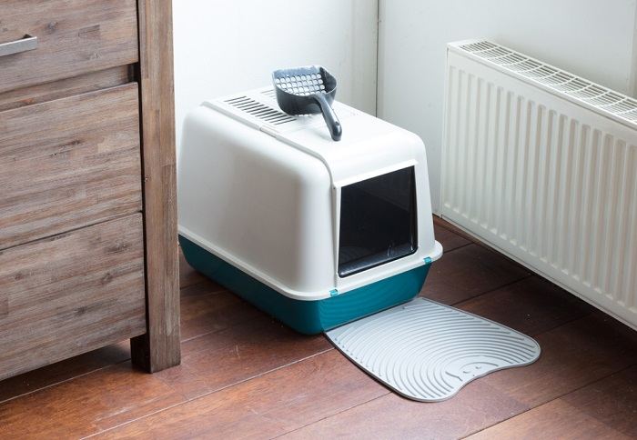 cat litter box near the cabinet