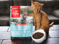 Orijen Six Fish Recipe Dry Cat Food