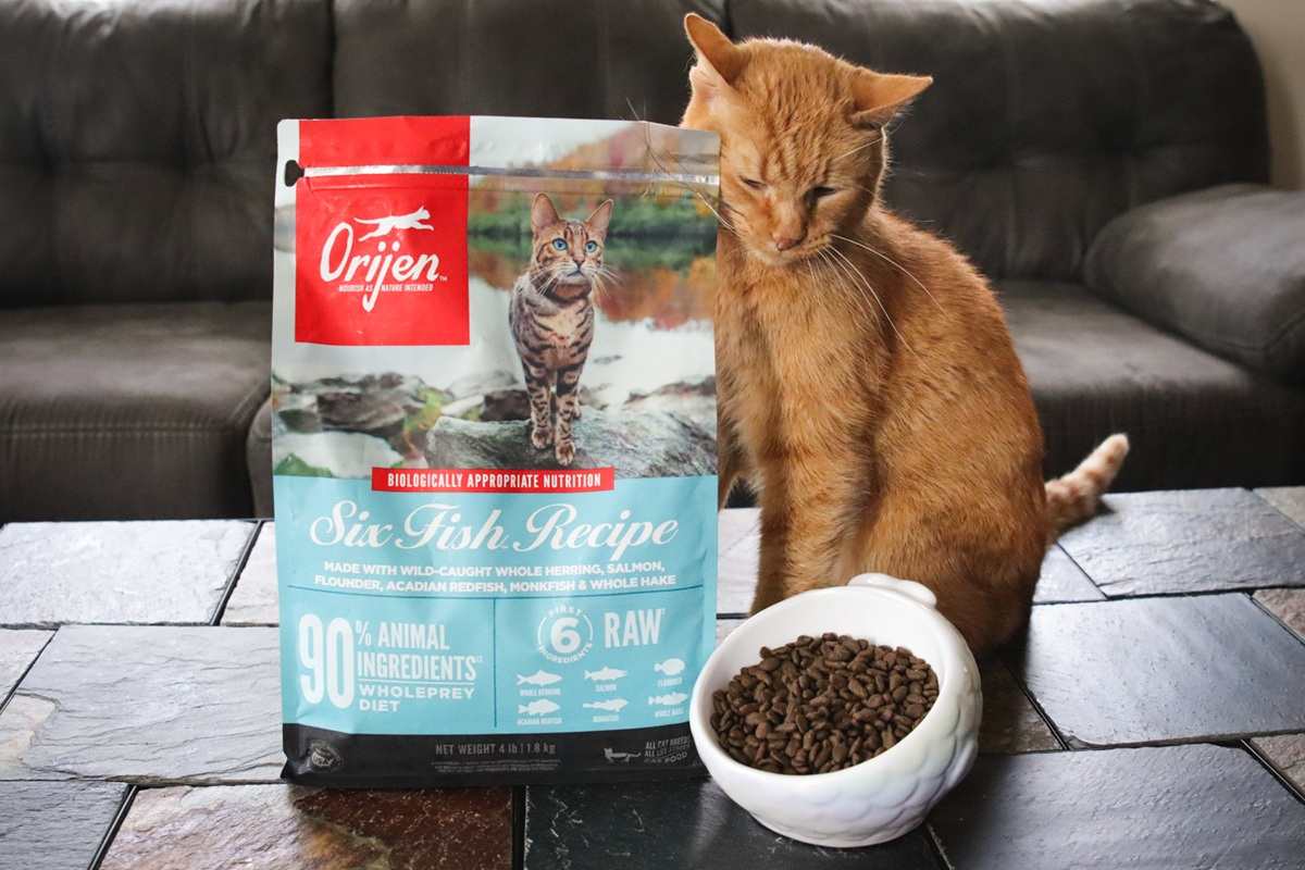 Orijen Six Fish Recipe Dry Cat Food