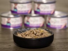Purina Beyond Cage-Free Turkey Sweet Potato & Spinach Recipe in Gravy Wet Canned Cat Food