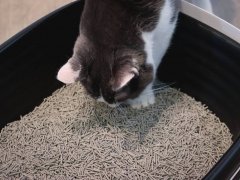 Tuft & Paw Really Great Cat Litter