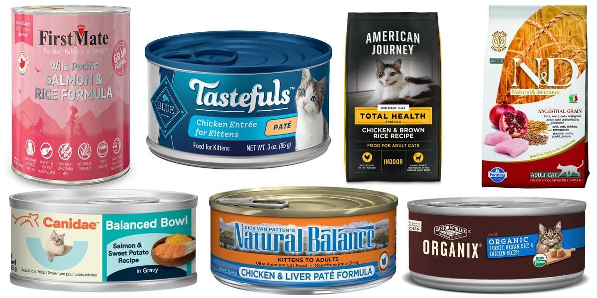 The 7 Best Cat Food With Grains In 2024: Unbiased Review - Cats.com