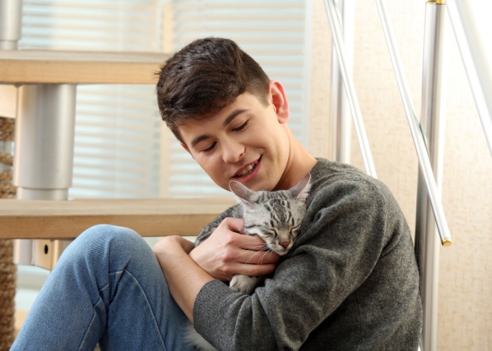 Image capturing a heartwarming moment of a boy gently petting a cat.