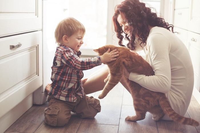 An endearing image featuring a cat and a toddler sharing a heartwarming moment.