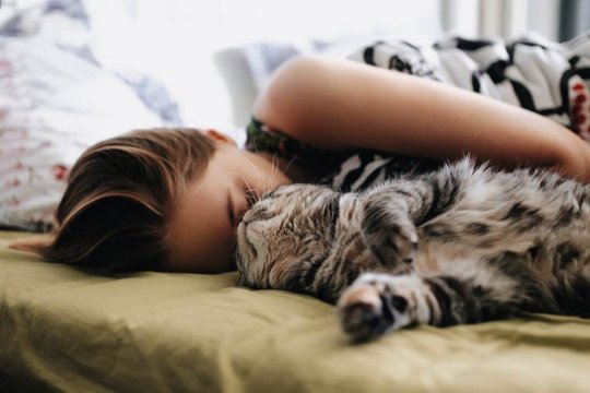 Why Does My Cat Sleep On My Head?