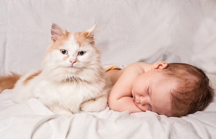 A vigilant cat watching over a peacefully sleeping baby with a protective gaze.