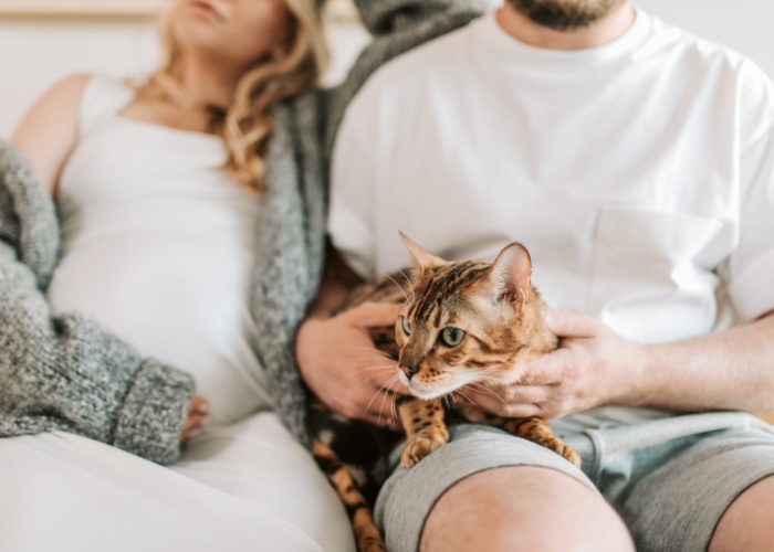 Image of a cat comfortably nestled between a couple, symbolizing the shared affection and happiness that pets can bring to relationships.