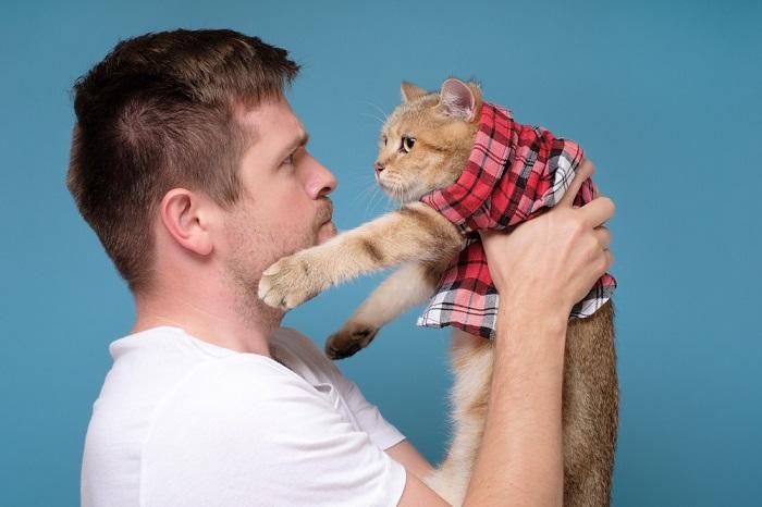 Photo of a guy holding a content and relaxed cat, both exuding a sense of harmony and friendship in their shared moment.