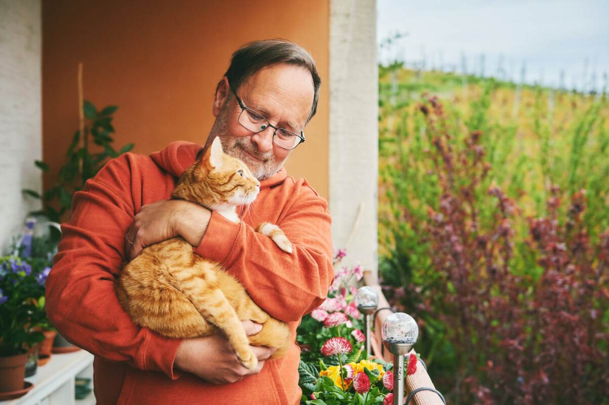 Photo of a husband featured with a cat in his arms, illustrating a heartwarming display of companionship and care between a pet owner and his feline friend.