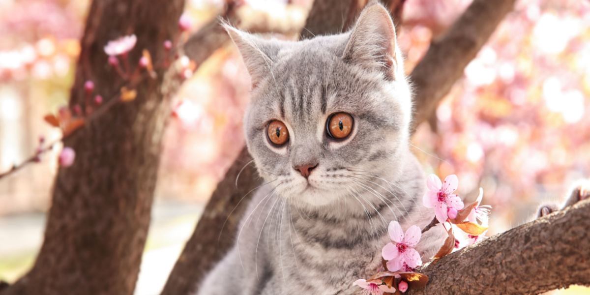 A cute kitten sits on a tree branch.