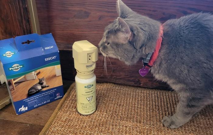 Best cat hotsell scratch deterrent spray