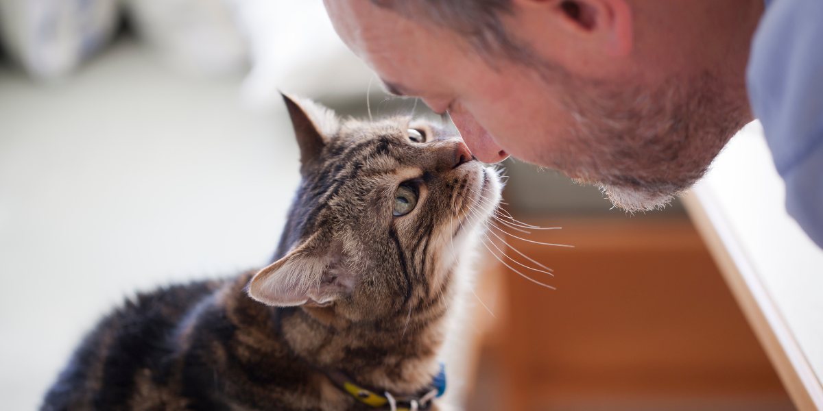 Image depicting a person engaging in conversation with a cat.