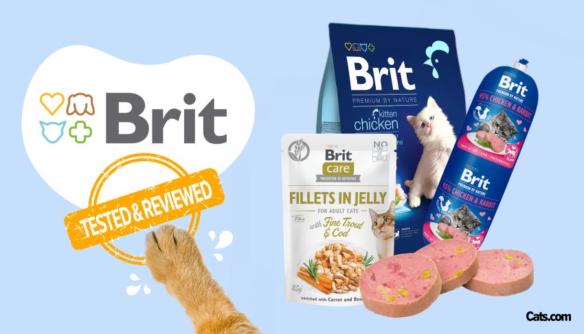 Brit Cat Food Brand Review