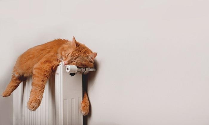 A ginger cat peacefully asleep on a warm radiator, basking in the cozy comfort of the heat. 