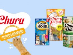 Inaba Churu Cat Treats Brand Review