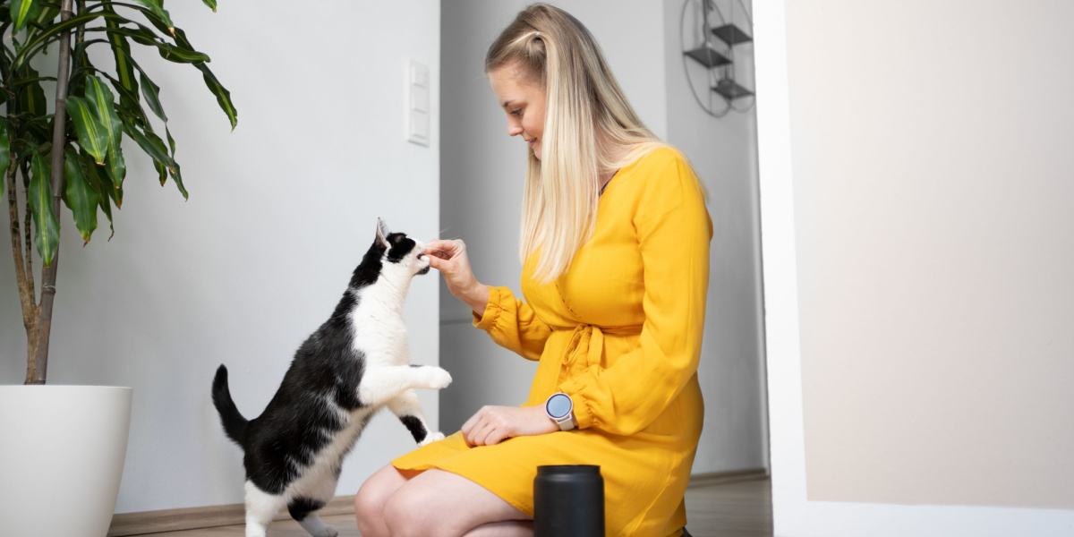 Cat closely following a person