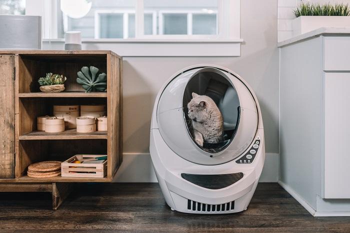 A cat litter box, an essential item for maintaining a cat's hygiene and sanitation.
