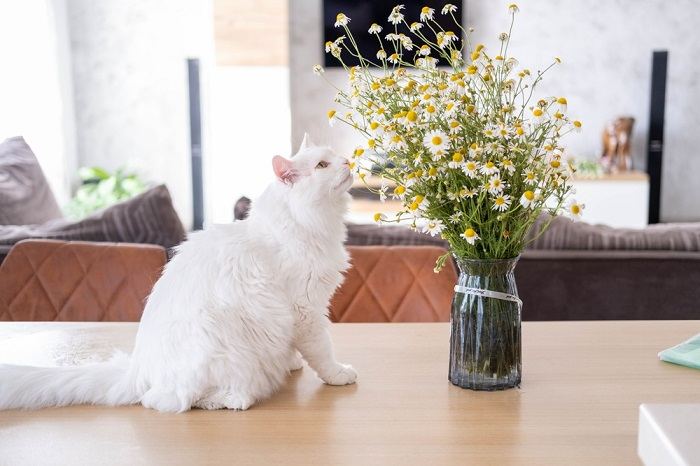 An enchanting image of a cat delicately sniffing flowers, displaying a blend of curiosity and appreciation for the scents of the natural world.