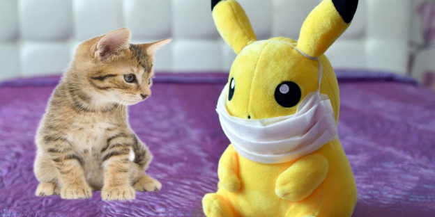 150 Cute Pokemon Names For Cats With Meanings
