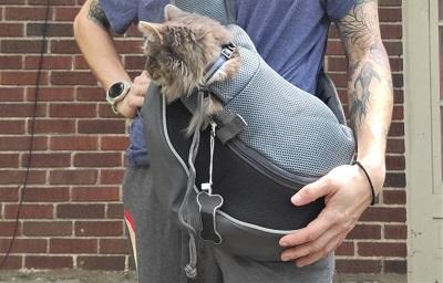 Cat 2025 carrier sling